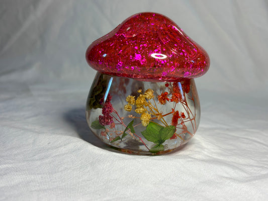 Magical Mushroom