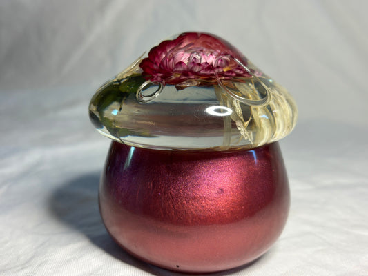 Magical Mushroom